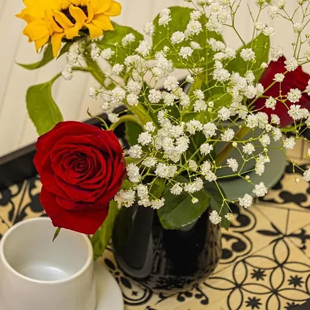 Nicole In Center Chania Appartamento *